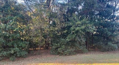408 Lake Pines-Road Frontage