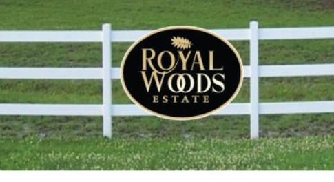 Photo Nov 12 2024, 11 17 12 AM