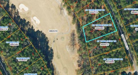 GIS Overhead Image