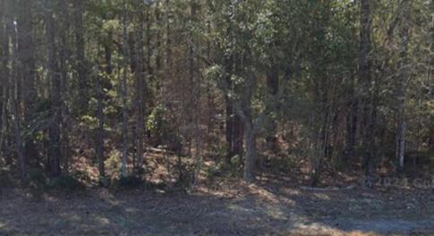 24480 US HWY 17