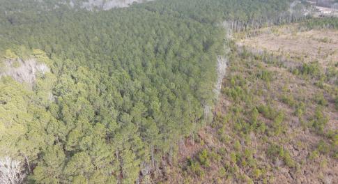 DJI_0905