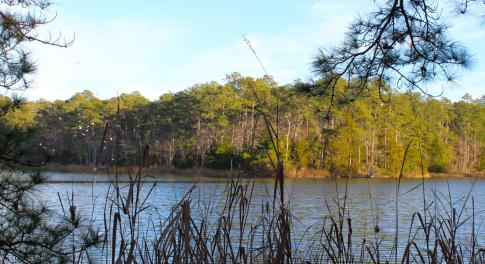 Lot with Water frontage