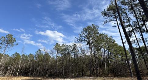 979 Aiken Rd 1