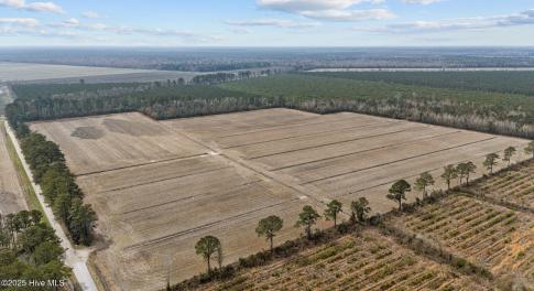 15-web-or-mls-DJI_20250313115607_0052_D