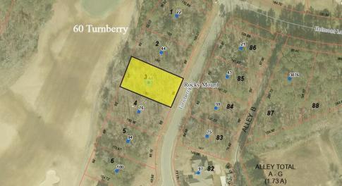 60 Turnberry