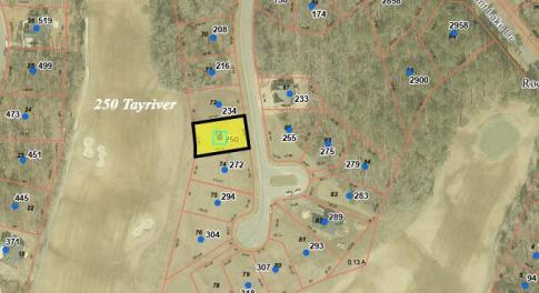 250 tayriver