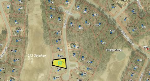 272 tayriver