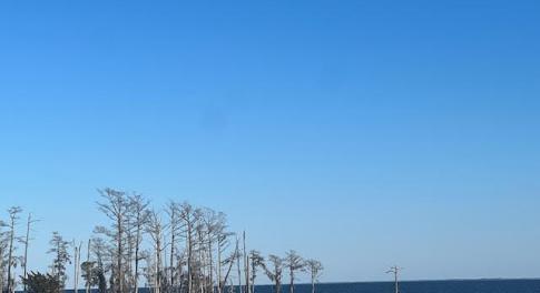 East View toward Outer Banks