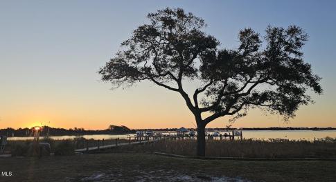L15 Sunrise 1