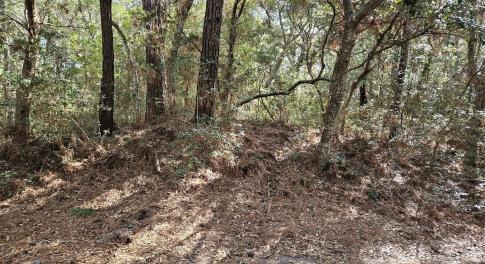 20250304_094925_resized