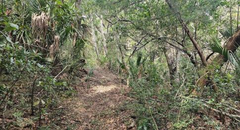 Resized_20250304_113030_1741105936440 (2