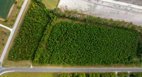 Old Folkstone/Ennett