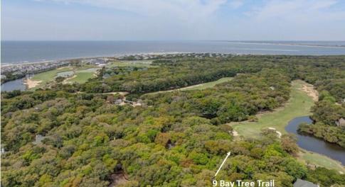 p Bay Tree Trail 1
