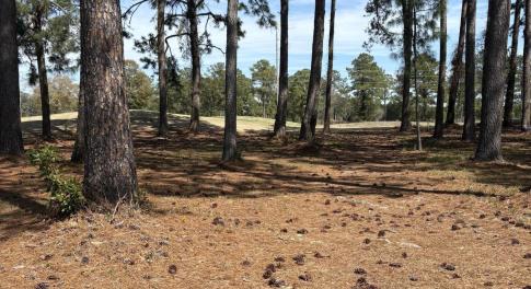 Lot View 1