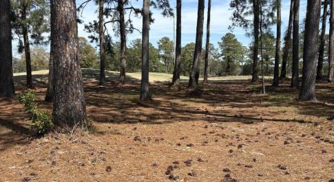 Lot View 1