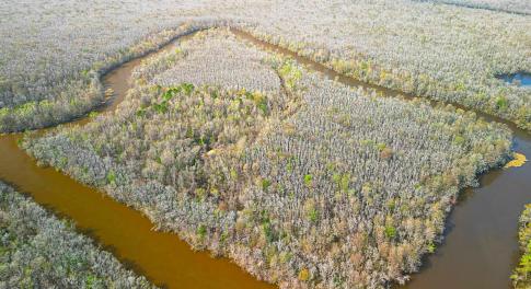 Overhead View