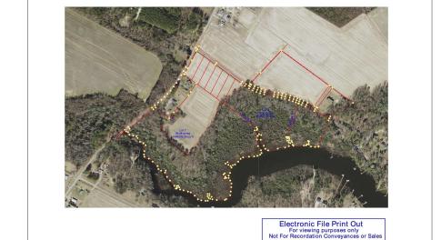 Blacksheep Aerial Reduced