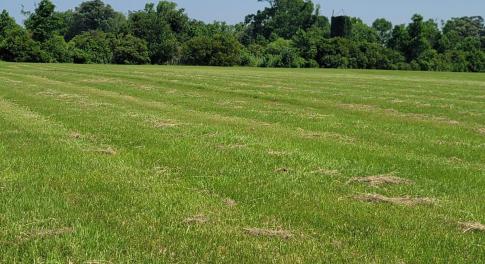 20250516_110700-new