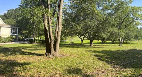 Gorgeous Corner Lot