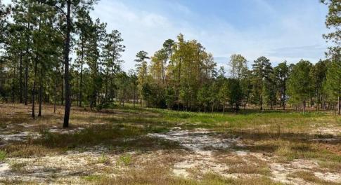 7018 harrison lane pic