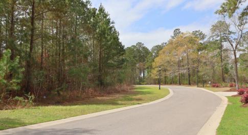 0d24d71d-ce4c-434f-969a-c21acd2e6e02