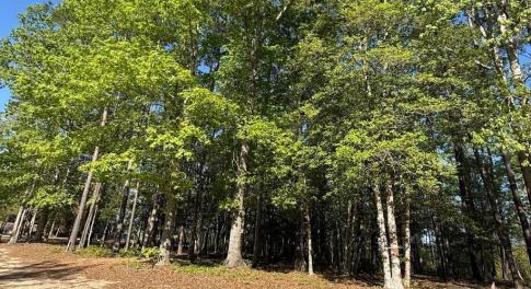 Screenshot 2025-04-18 at 12.09.39 PM