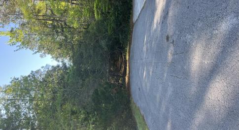 Wood Creek Dr