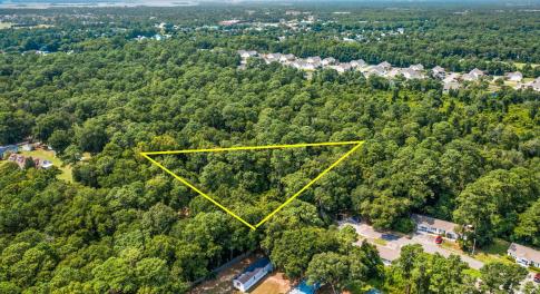 1-web-or-mls-DJI_0163 copy