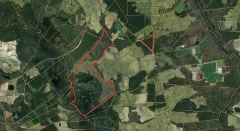 Screenshot 2025-04-23 at 1.22.59PM