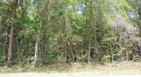 over 18 acres land
