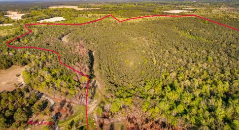 Off Streets Ferry Rd. 294ac