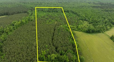 15-web-or-mls-Property Lines_1