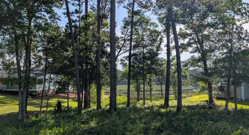 PXL_20250515_205319363