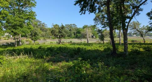 PXL_20250515_205032071