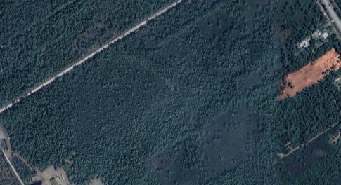 wooded