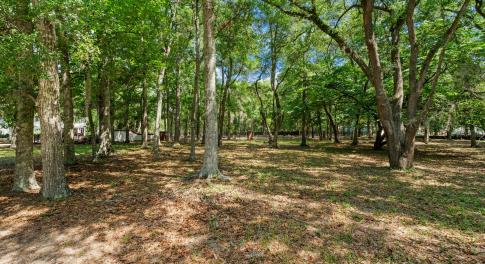 1312 Harbour Watch Lot 9
