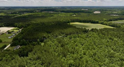 aerial