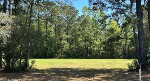 Skold - 597 Lindgrove - front