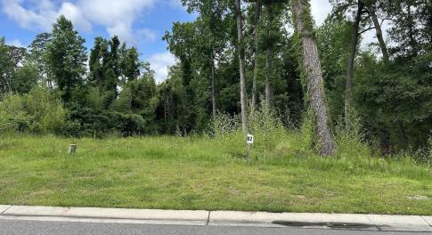 Roadfront view of property