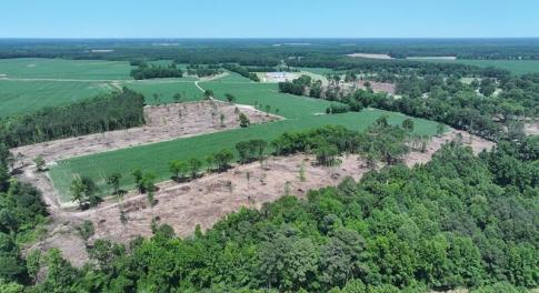 Hwy 71 Red Springs