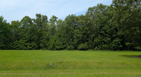 PXL_20250516_182454861