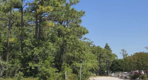 Bradley Nine Mile (4)resized