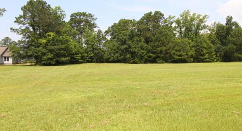Level Building Lot