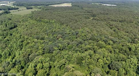 DJI_20250627095628_0112_D