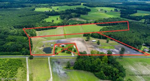 1-web-or-mls-pine level