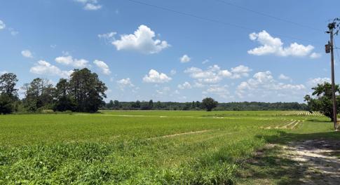 66A2FE8F-CDCF-407C-955A-96A7AD03B8E0