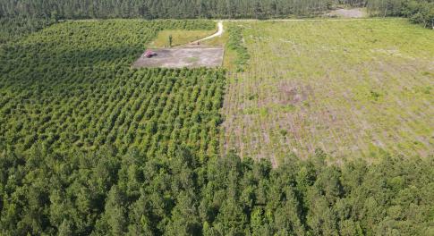 DJI_0975