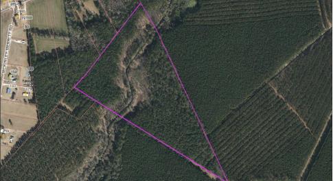 Image 7-12-25 at 12.59PM