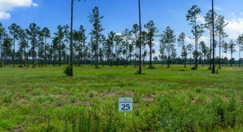 Lot 25 Kingbird MLS-1