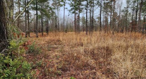 8055-US-17-Vanceboro-NC